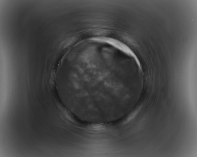 X0000086800325200705041613