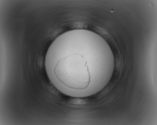 X0000086800326200705041613