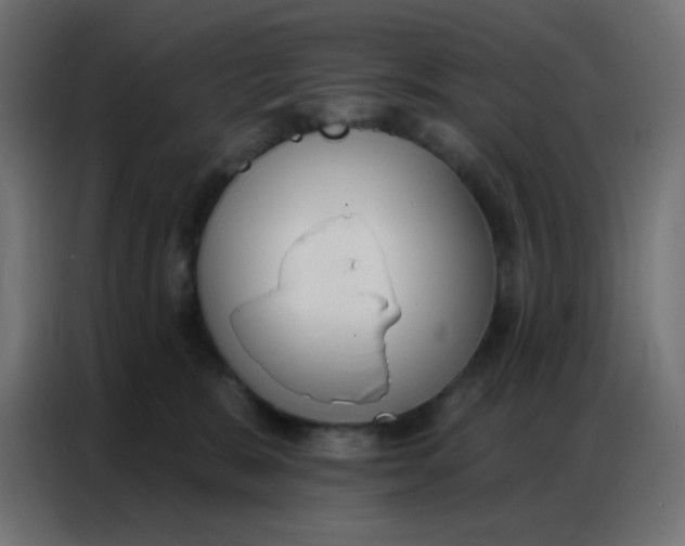 X0000086800327200705041613