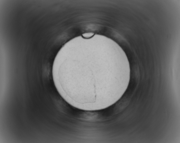 X0000086800328200705041613