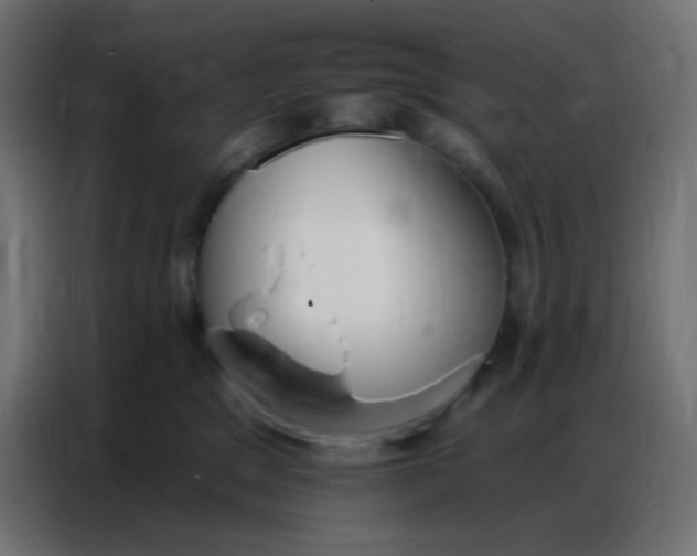 X0000086800329200705041613