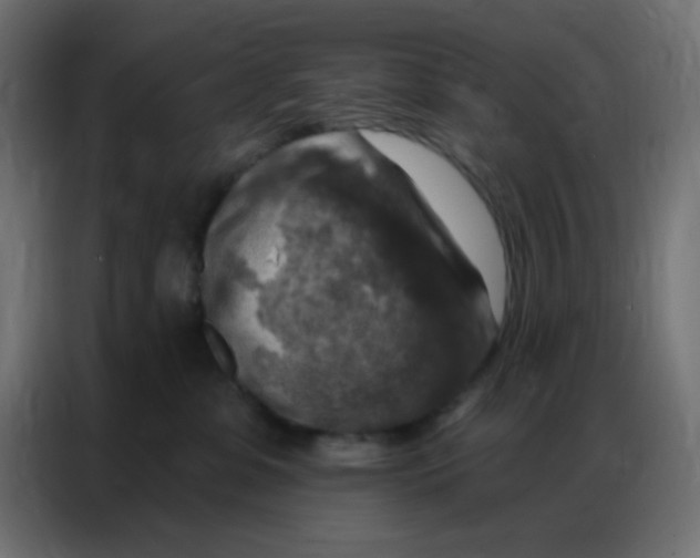 X0000086800331200705041613