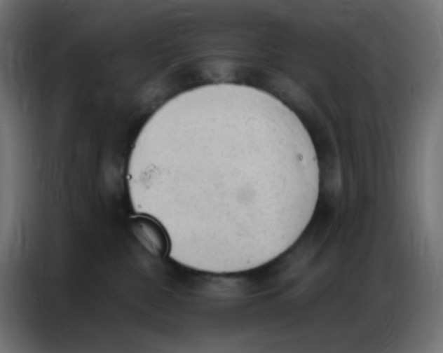 X0000086800332200705041613