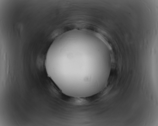 X0000086800333200705041613