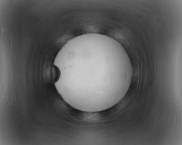 X0000086800334200705041613