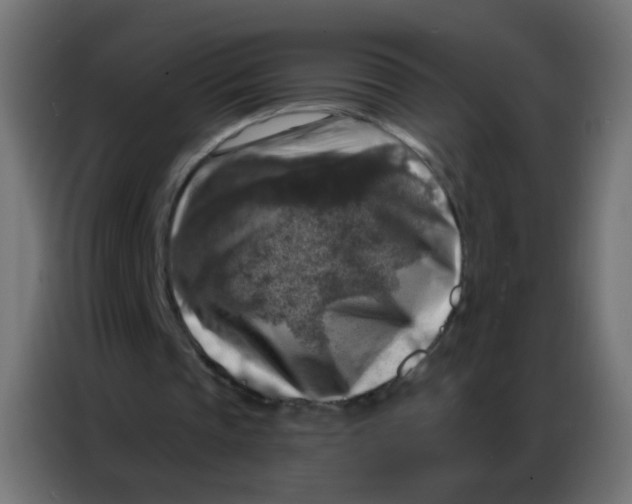 X0000086800337200705041612