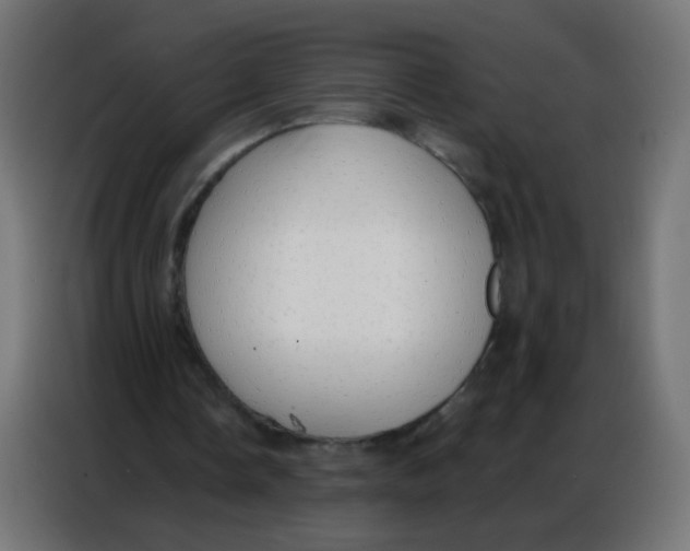 X0000086800338200705041612