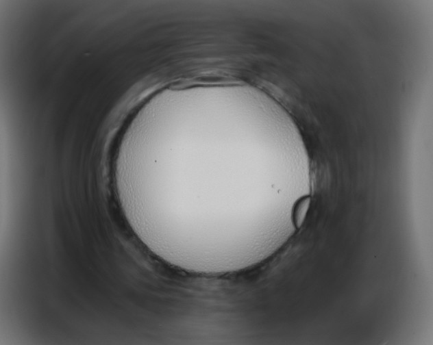 X0000086800339200705041612