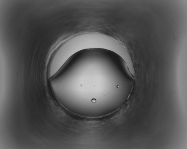 X0000086800340200705041612