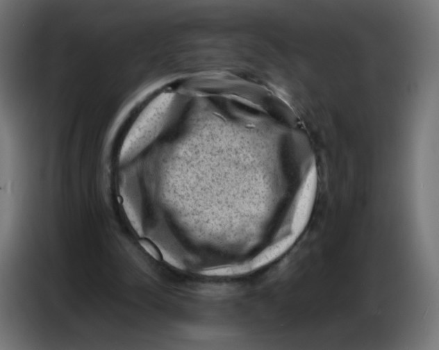 X0000086800342200705041612