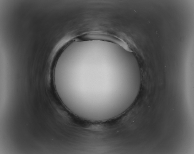 X0000086800344200705041612