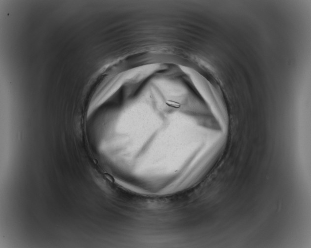 X0000086800345200705041612