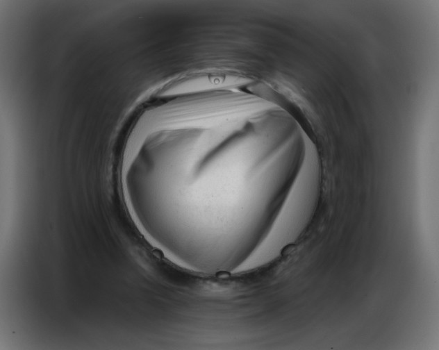 X0000086800346200705041613