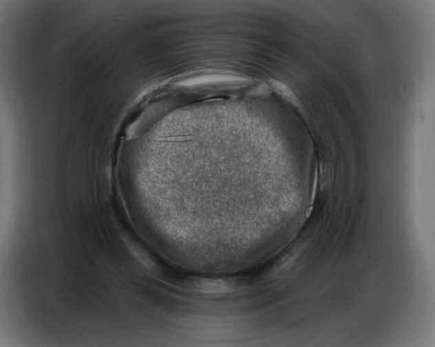 X0000086800349200705041613