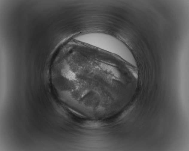 X0000086800351200705041613