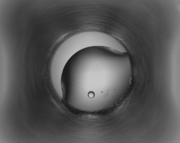 X0000086800352200705041613