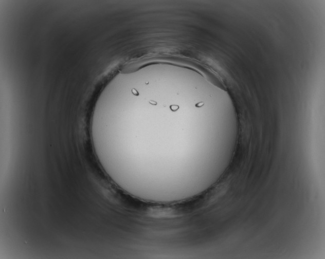 X0000086800354200705041613