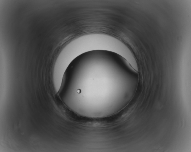 X0000086800356200705041613