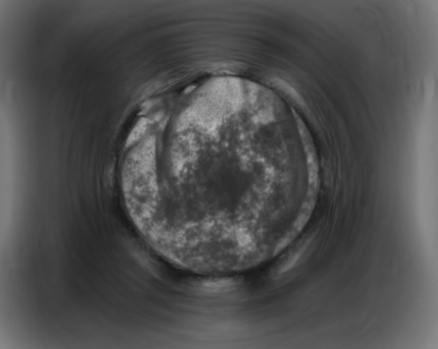 X0000086800357200705041613