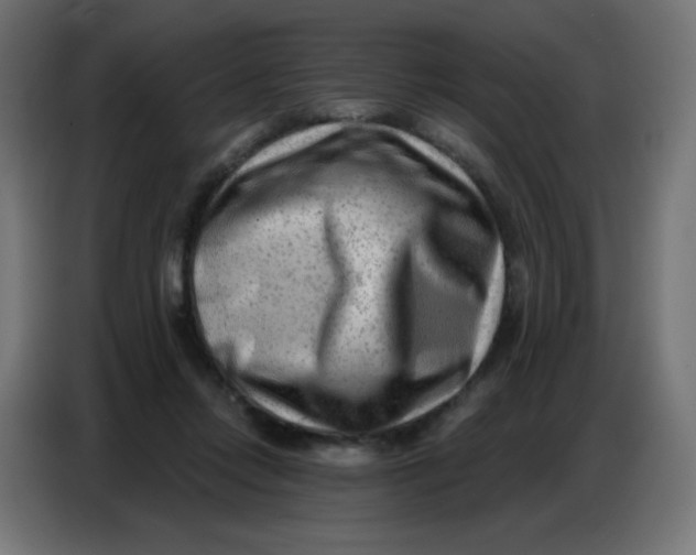 X0000086800358200705041613