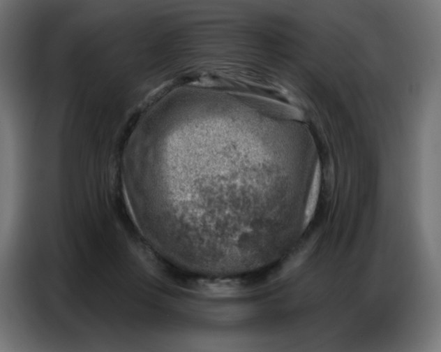 X0000086800359200705041613