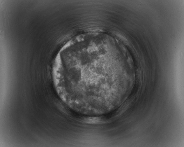 X0000086800361200705041613