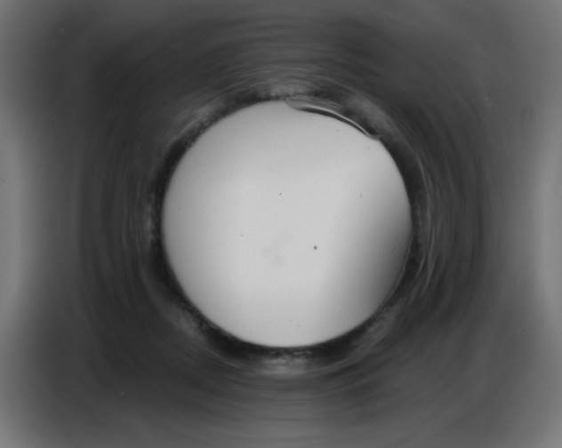 X0000086800362200705041613