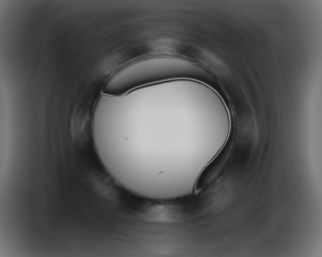 X0000086800364200705041613