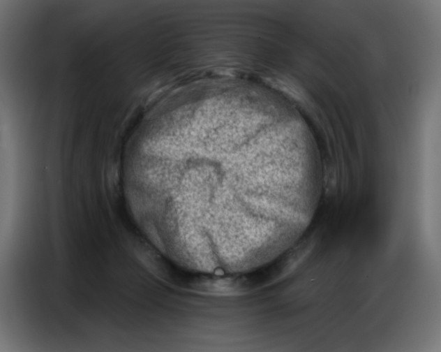 X0000086800365200705041613