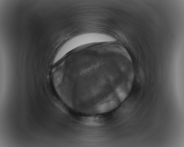 X0000086800366200705041613