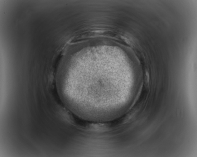 X0000086800367200705041613