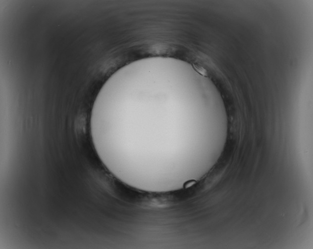 X0000086800368200705041613