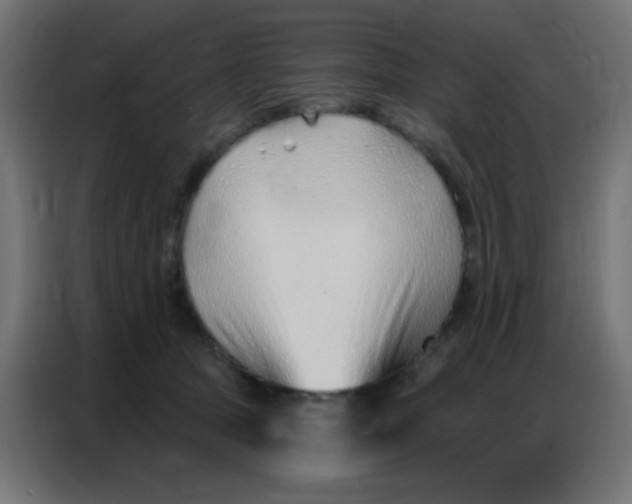 X0000086800369200705041613