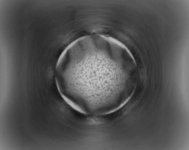 X0000086800372200705041613