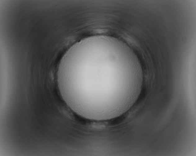 X0000086800373200705041613