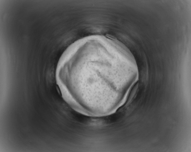 X0000086800376200705041613