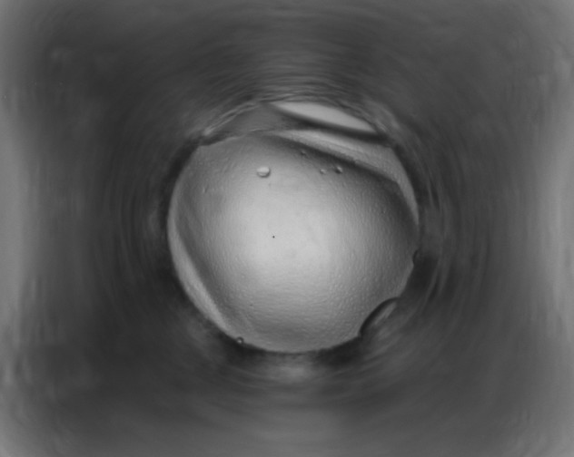 X0000086800377200705041613