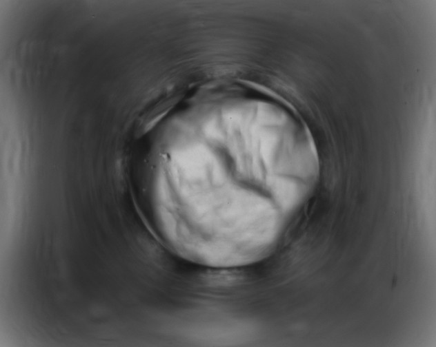 X0000086800378200705041613