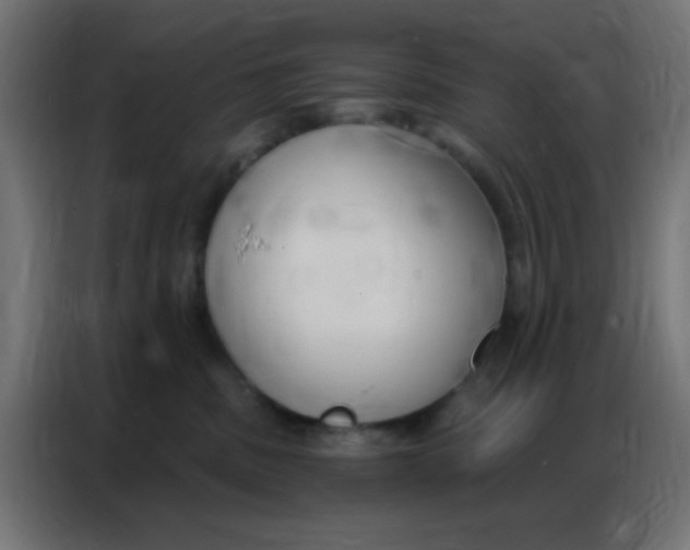 X0000086800379200705041613