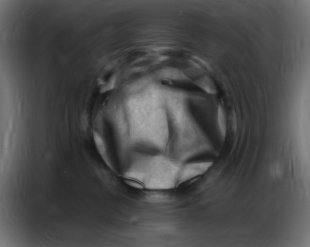 X0000086800380200705041613