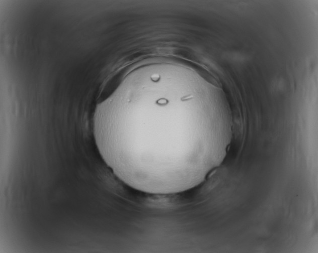 X0000086800381200705041613