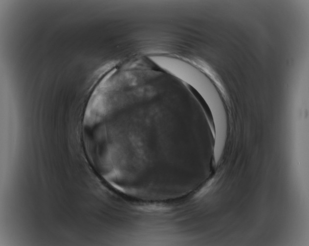 X0000086800385200705041612