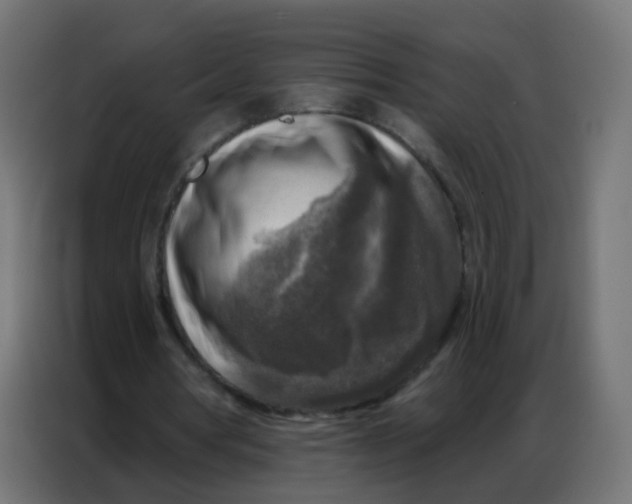 X0000086800386200705041612