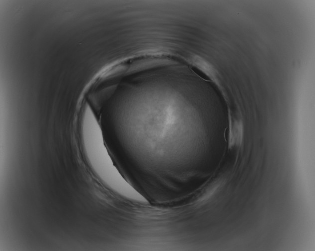 X0000086800387200705041612