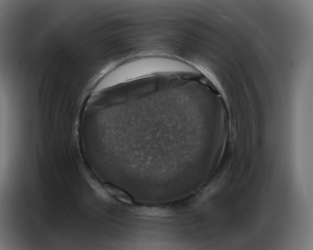 X0000086800389200705041612