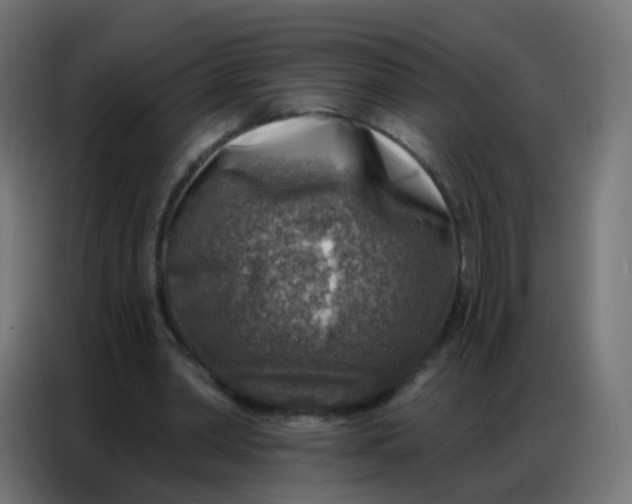 X0000086800390200705041612