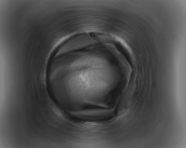 X0000086800391200705041612