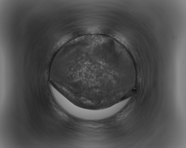 X0000086800393200705041612