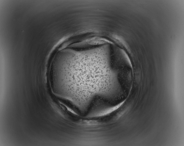 X0000086800395200705041612