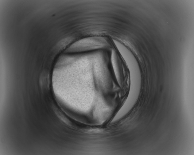 X0000086800397200705041612